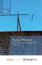 Young Offenders: Crime, Prison and Struggles for Desistance