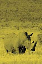 Alive! White Rhino - Yellow Duotone - Photo Art Notebooks (6 X 9 Version)