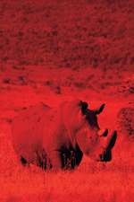 Alive! White Rhino - Red Duotone - Photo Art Notebooks (6 X 9 Series)