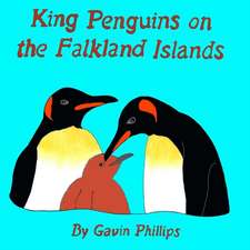 King Penguins on the Falkland Islands