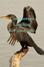 Cormorant Landing