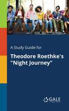 A Study Guide for Theodore Roethke's "Night Journey"