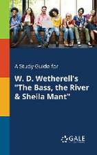 A Study Guide for W. D. Wetherell's 