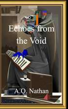 Echoes from the Void