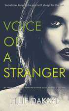 Voice of a Stranger