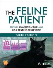 The Feline Patient