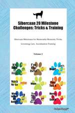 Sibercaan 20 Milestone Challenges