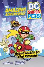 Korte, S: Robin Robin to the Rescue