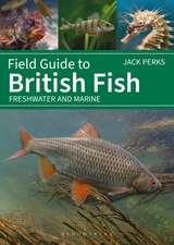 Field Guide to British Fish