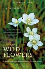 Harrap’s Wild Flowers