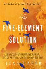 The Five-Element Solution: Discover the Spiritual Side of Chinese Medicine to Release Stress, Clear Anxiety, and Reclaim Your Life