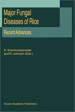 Major Fungal Diseases of Rice: Recent Advances