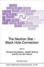 The Neutron Star—Black Hole Connection