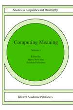 Computing Meaning: Volume 1