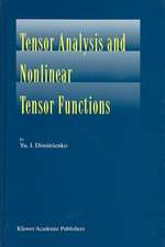 Tensor Analysis and Nonlinear Tensor Functions