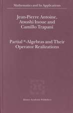 Partial *- Algebras and Their Operator Realizations