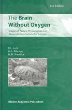 The Brain Without Oxygen: Causes of Failure-Physiological and Molecular Mechanisms for Survival