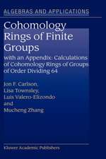 Cohomology Rings of Finite Groups: With an Appendix: Calculations of Cohomology Rings of Groups of Order Dividing 64