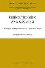 Seeing, Thinking and Knowing