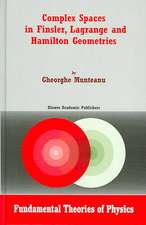 Complex Spaces in Finsler, Lagrange and Hamilton Geometries