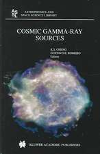 Cosmic Gamma-Ray Sources