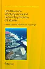 High Resolution Morphodynamics and Sedimentary Evolution of Estuaries