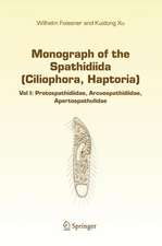 Monograph of the Spathidiida (Ciliophora, Haptoria): Vol I: Protospathidiidae, Arcuospathidiidae, Apertospathulidae