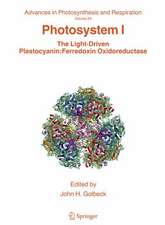 Photosystem I: The Light-Driven Plastocyanin: Ferredoxin Oxidoreductase