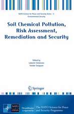 Soil Chemical Pollution, Risk Assessment, Remediation and Security