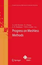 Progress on Meshless Methods