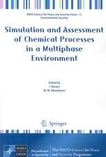 Simulation and Assessment of Chemical Processes in a Multiphase Environment