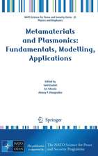 Metamaterials and Plasmonics: Fundamentals, Modelling, Applications