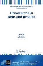 Nanomaterials: Risks and Benefits