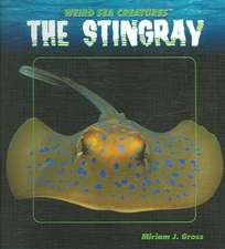 The Stingray