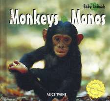 Monkeys/Monos