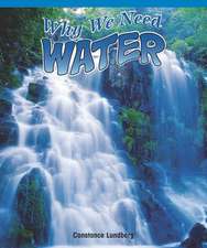 Why We Need Water