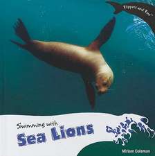 Swimming with Sea Lions