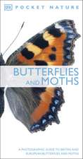 Butterflies and Moths: A Photographic Guide to British and European Butterflies and Moths