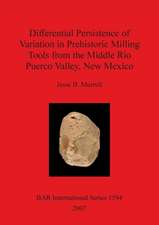 Differential Persistence of Variation in Prehistoric Milling Tools from the Middle Rio Puerco Valley, New Mexico