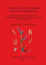 La explotación de las materias óseas en el Auriñaciense