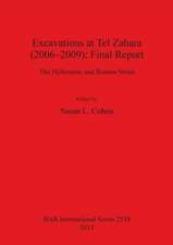 Excavations at Tel Zahara (2006-2009): Final Report. the Hellenistic and Roman