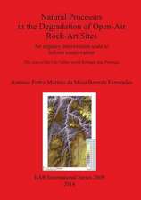 Natural Processes in the Degradation of Open-Air Rock-Art Sites: An Urgency Intervention Scale to Inform Conservation