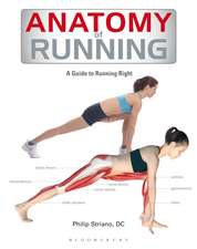 Anatomy of Running