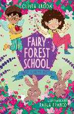 Brook, O: Fairy Forest School: Baby Bunny Magic