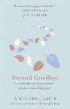 Beyond Goodbye