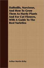 Daffodils, Narcissus, and How to Grow Them as Hardy Plants and for Cut Flowers, with a Guide to the Best Varieties: A Systematic Account of the General Structure, Habits, Instincts, and Uses of the Principal Families of the Animal Kin