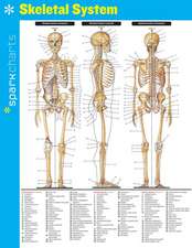 Skeletal System Sparkcharts