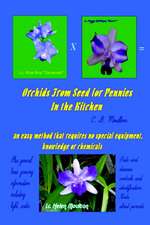 Orchids from Seed for Pennies