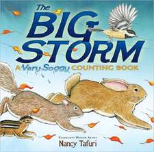 The Big Storm: A Very Soggy Counting Book