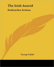 Calder, G: Irish Aeneid